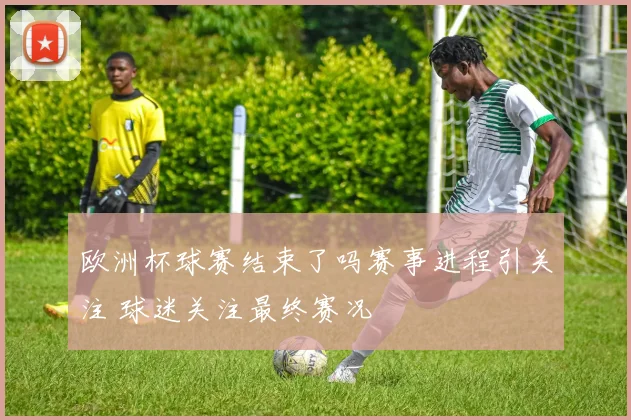 欧洲杯球赛结束了吗赛事进程引关注 球迷关注最终赛况