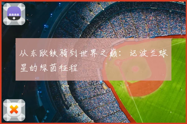 从东欧铁骑到世界之巅:记波兰球星的绿茵征程