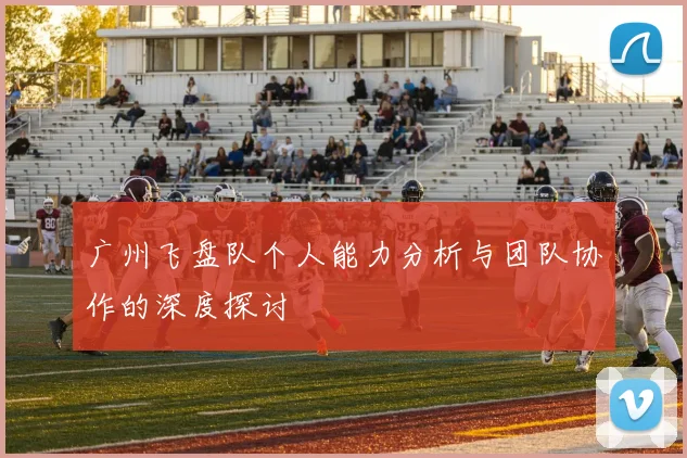 广州飞盘队个人能力分析与团队协作的深度探讨