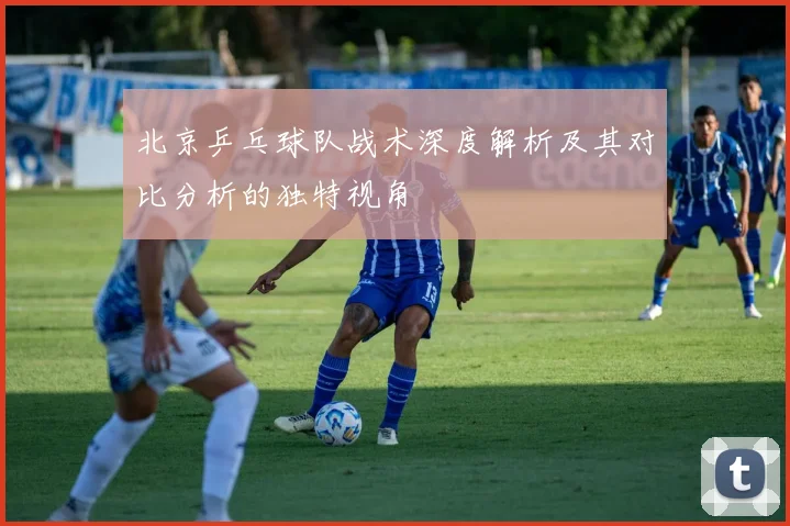 北京乒乓球队战术深度解析及其对比分析的独特视角
