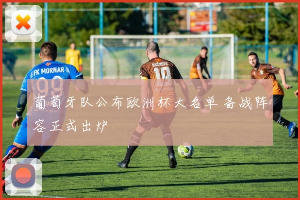 葡萄牙队公布欧洲杯大名单 备战阵容正式出炉