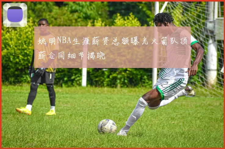 姚明NBA生涯薪资总额曝光火箭队顶薪合同细节揭晓