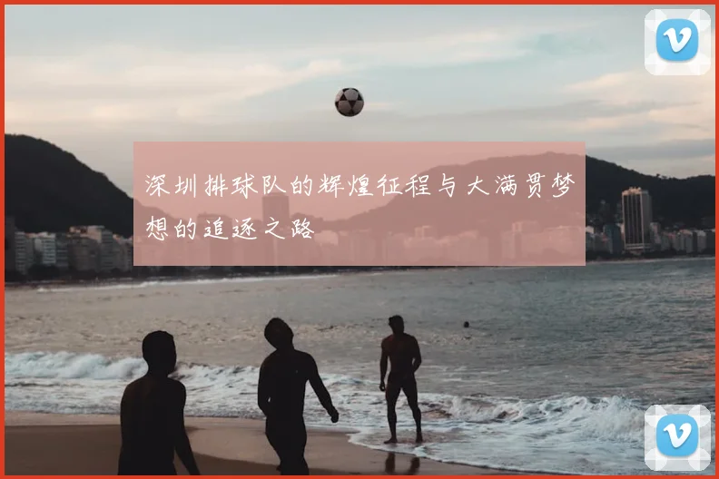 深圳排球队的辉煌征程与大满贯梦想的追逐之路