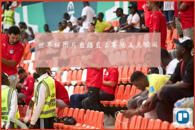 世界杯图片直播直击赛场高光瞬间