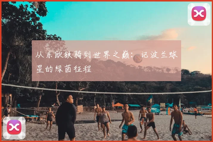 从东欧铁骑到世界之巅:记波兰球星的绿茵征程
