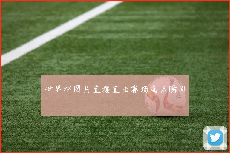 世界杯图片直播直击赛场高光瞬间