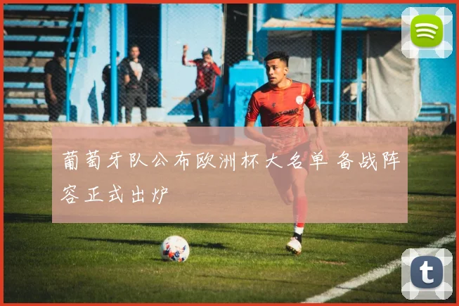葡萄牙队公布欧洲杯大名单 备战阵容正式出炉