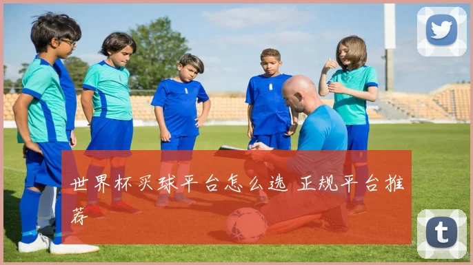世界杯买球平台怎么选 正规平台推荐