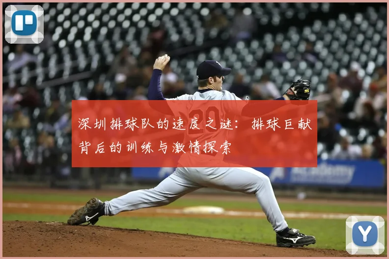 深圳排球队的速度之谜：排球巨献背后的训练与激情探索